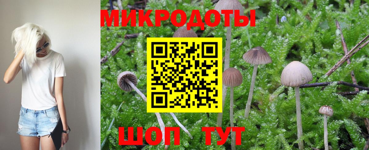 Нарткала  Псилоцибиновые грибы мухоморы  Вход с VPN 