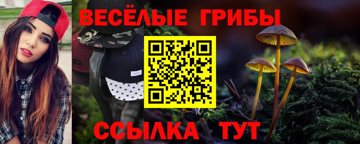 Псилоцибиновые грибы Magic Shrooms Нарткала